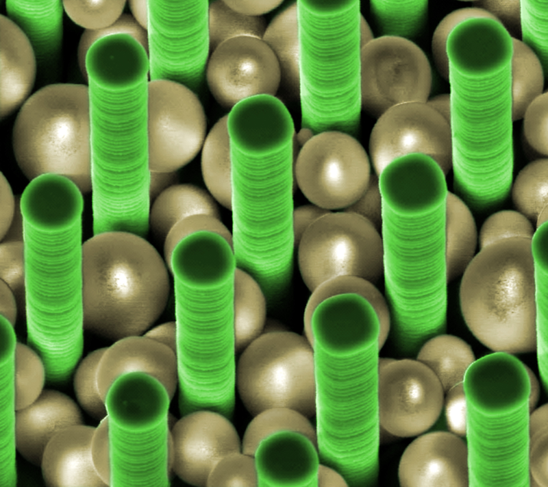 Illustration for article titled 27 Amazing Images From the Depths of Scientific Labs